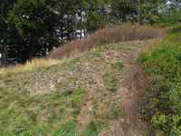 bochov05