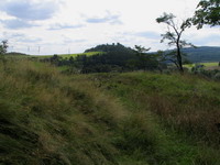 bochov12