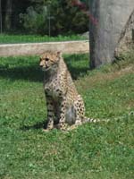 zoo03